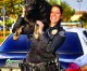 Cypress PD Says Goodbye to a Trusted and Good Friend