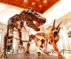 Zoom With the Dinosaurs at Natural History Museum Sept. 22