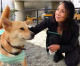 VIDEO: Dog Meat Survivor Flies to Freedom with Miyoko’s Creamery Founder
