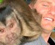 Georgie Boy, viral TikTok monkey with millions of fans, dies