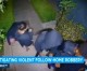 Phony SoCal cops pulling off residential robberies